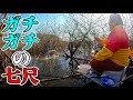巨べらの棲むダムで硬すぎる7尺を使って今年も50上を狙う