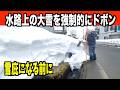 【ドボン】水路上の大雪が雪庇になる前に強制除去!2026-03-01(日)武七の除雪・雪かき日記 snow removal ASMR
