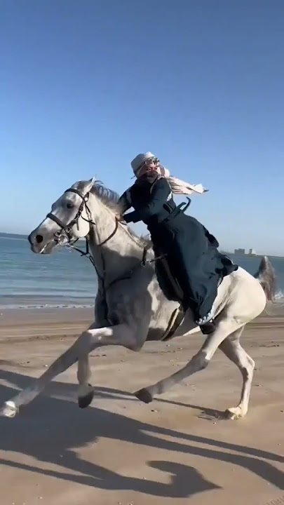 Arabian Horse | Girl Horse ride  #horse #arabianhorse #shorts #beautiful