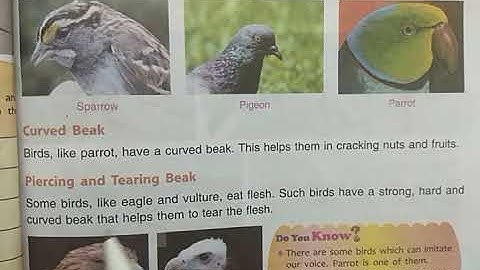 DAV Nahan Class-IV Science Lesson-5, Part-2