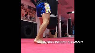 Muay Thai Roundhouse Kick (Slow Motion)