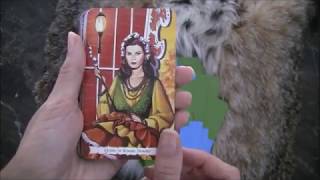 Divination, Synchronicity, and Gypsy Fortune Tellers - ROBERT SEPEHR