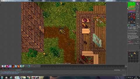 Tibia Bosses: Hide, The Snapper, The Bloodtusk