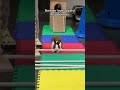 Смешные кролики Часть 5 кролики кролик Bunny животные Funnypets Kaninchen Funnybunny