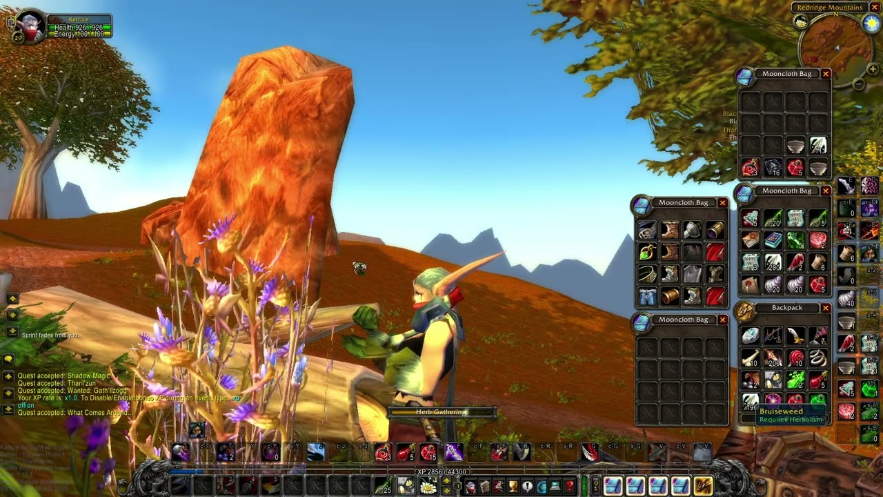 Katrice lvl 29 questing Redridge Mountains and Duskwood