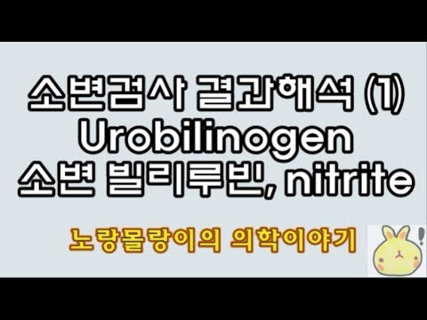 소변검사결과해석(Urinalysis): urine nitrite, urobilinogen, bilirubin, leukocyte esterase