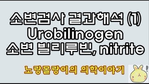 소변검사결과해석(Urinalysis): urine nitrite, urobilinogen, bilirubin, leukocyte esterase