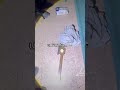 GUARDA IL VIDEO COMPLETO