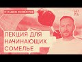 Лекция для начинающих сомелье