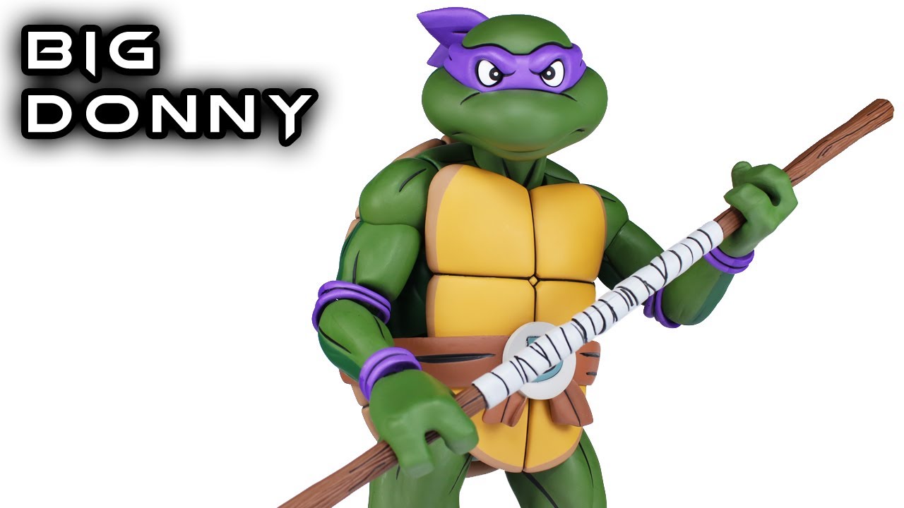 Teenage Mutant Ninja Turtles NECA Leonardo and Donatello (Cartoon)