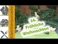 Fröhliche Weihnachten | Schöne, erholsame, stressfreie Feiertage