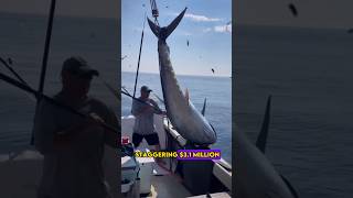 $3 Million Fish: The World Record! 🐟🏆