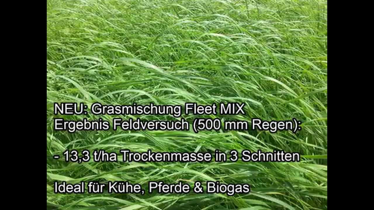 NEU: Fleet MIX Grasmischung für Weide und Acker