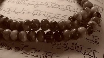 سورة التحريم _ محمود عبدالحكم