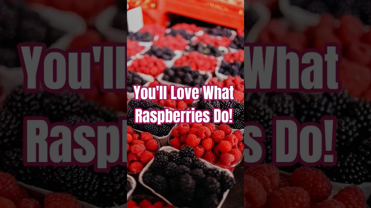 Raspberry Benefits: Boost Heart, Gut & Brain Health Naturally! 🍓💪| Fresh & Healthy 