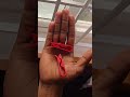 Dustbin Clip