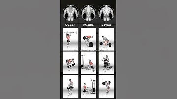 Build a Stronger Back: Best Targeted Back Workouts for Muscle Growth