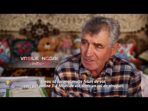 Video: Weekendul Vinului: Un Tur Al țării Vinului Din Virginia De Nord