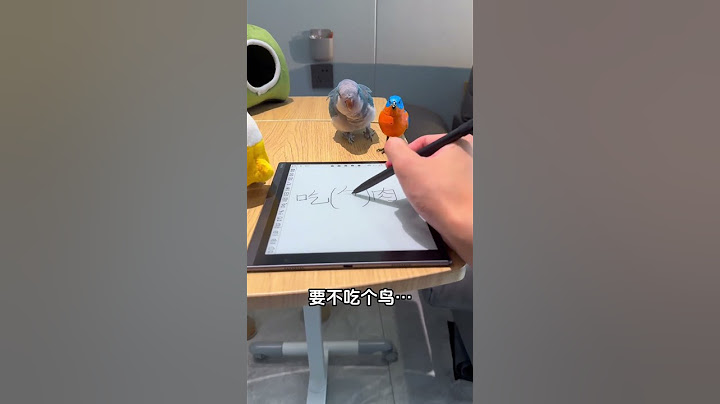 当我和胖胖说吃鸟肉，胖胖反应太好笑了~#小鸟互动 #搞笑 #pets #birds #parrot #animals #cute #funny #治愈#shorts