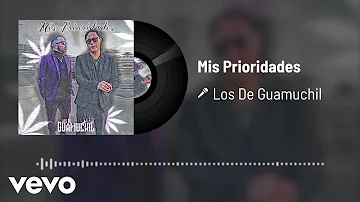 Los De Guamuchil - Mis Prioridades (Audio)