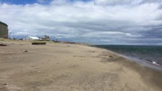 Windy beach in Punta Arenas