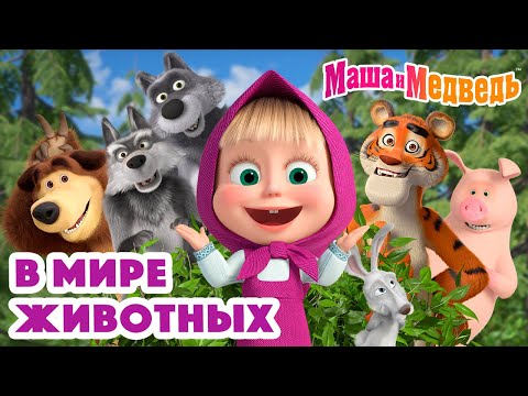 Маша и Медведь 🐯🐺 В мире животных 🐰🐻 Коллекция серий про Машу 🎬