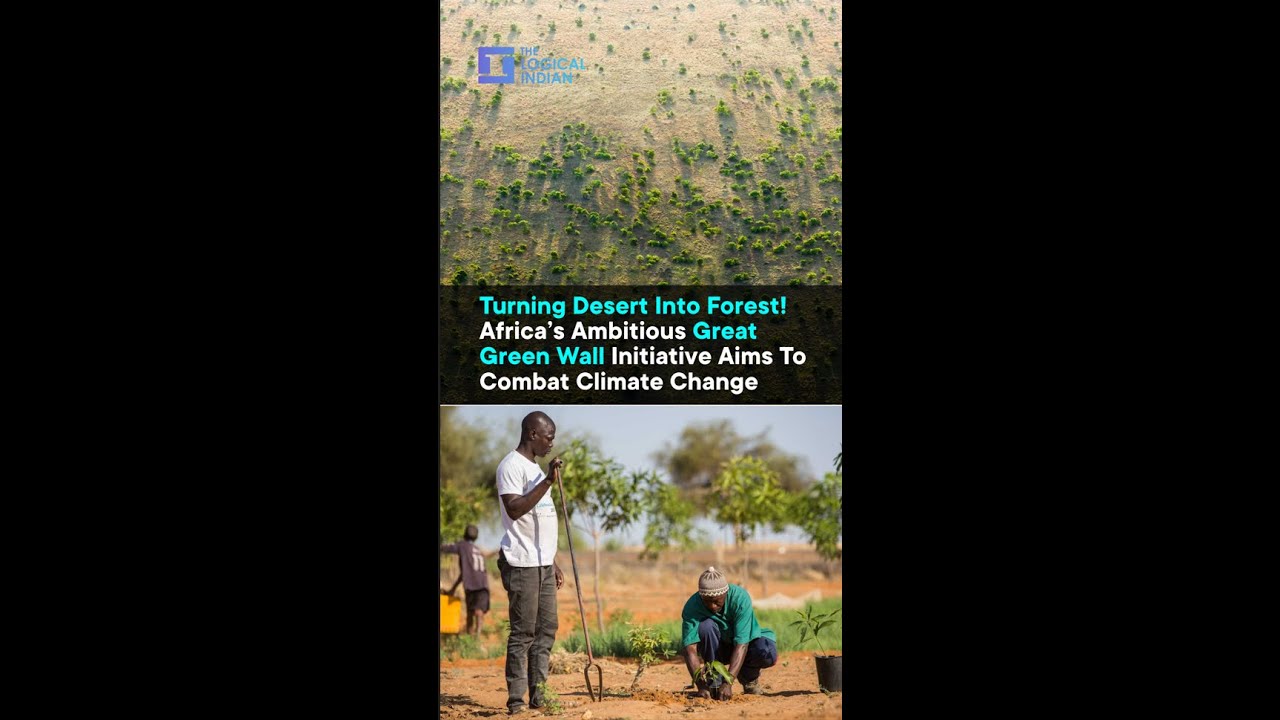 Africa’s Ambitious Great Green Wall Initiative Aims To Combat Climate
