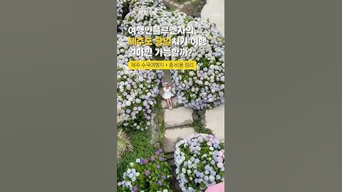 ✈️ 제주도 당일치기, 수국만 보러 간다면?🌸 #shorts #국내여행
