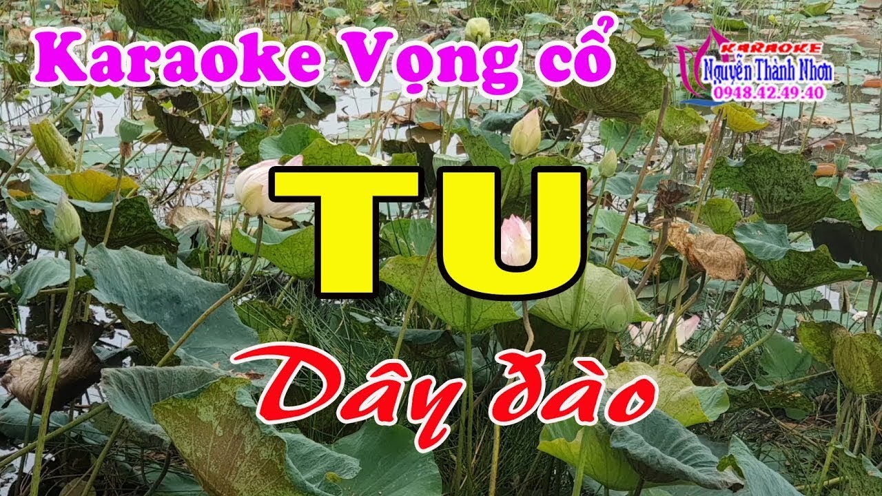 Karaoke vọng cổ TU - DÂY ĐÀO [T/g Hồ Nhật Tâm]