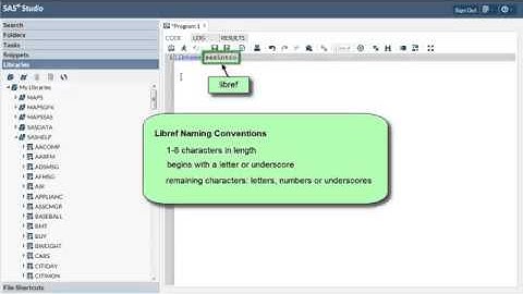 Accessing Data in SAS Libraries