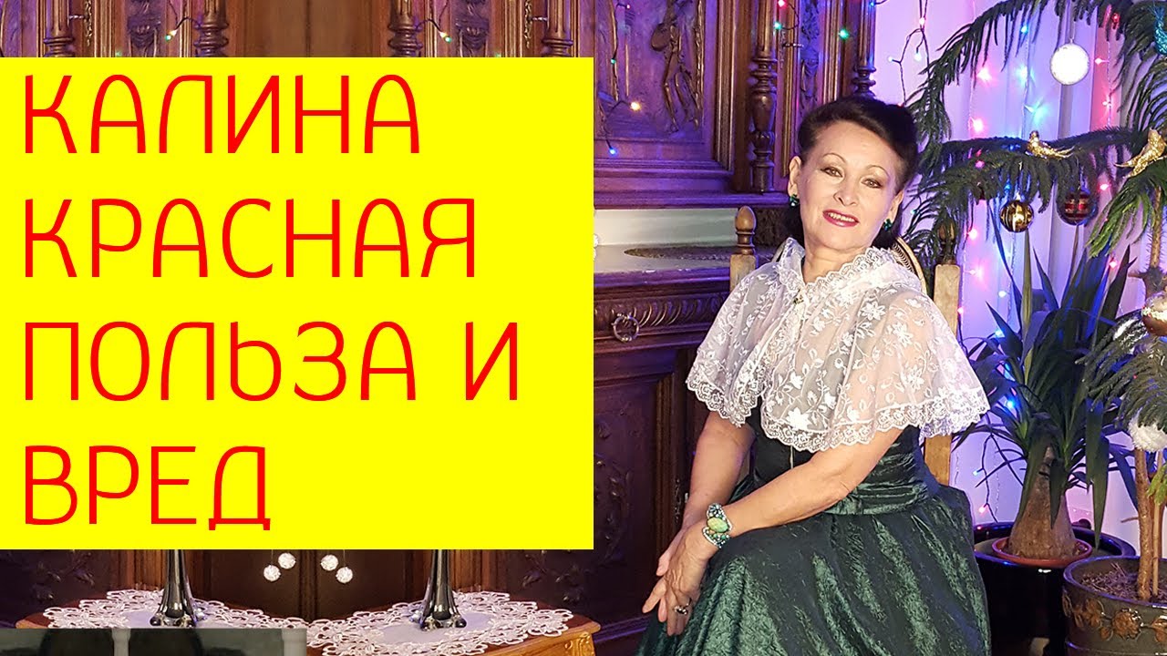 Калина - польза и вред картинки Калина - польза и вред картинка