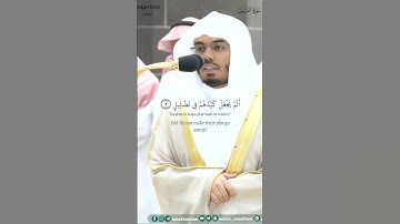 Yasser al Dosari || Fil Suresi || Surah Fil (Elephant) || سورة الفيل || ياسر الدوسري