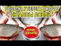 НЮАНСЫ РЫБНОЙ ЛОВЛИ В МАРТЕ НА РЫБАЛКЕ У БЕРЕГА