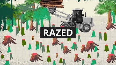 Why has illegal logging increased in the Mekong?