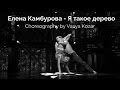 Елена Камбурова - Я такое дерево | Choreography by Vasya Kozar (KDT)