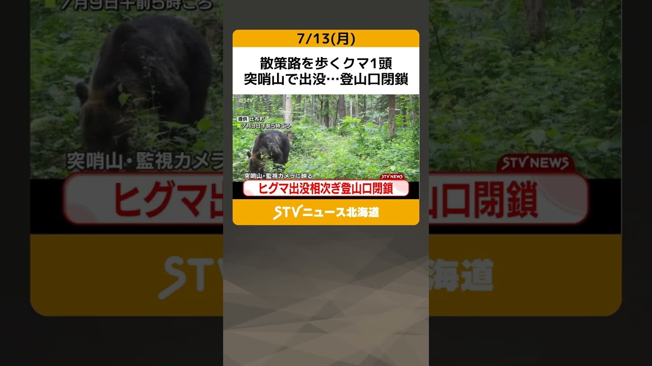 Bear walks along trail, spotted at Toshozan trailheads closed