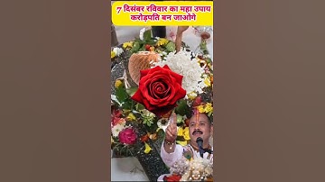 7 दिसंबर रविवार का महा उपाय करोड़पति बन जाओगे #pradeepmishrajidhankeupay #upay #प्रदीपमिश्राजी #live