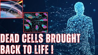 Cells Can Exist In A Third State Beyond Life And Death: Shocking Study Reveals.
