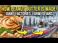 How Peanut Butter is Made in Giant Factories | From Farm to 10 Billion Jars