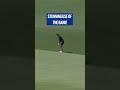 What a BOUNCE! 🤯