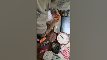 DAY-8|GATE|Study Timelapse #daily #study #gate #motivation  #hardwork #inspiration #trending #trend