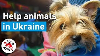 Help for animals at Ukrainian borders