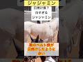 【ジャジャミン】日焼けしたように鞍痕が赤くなる #shorts #short #ジャジャミン