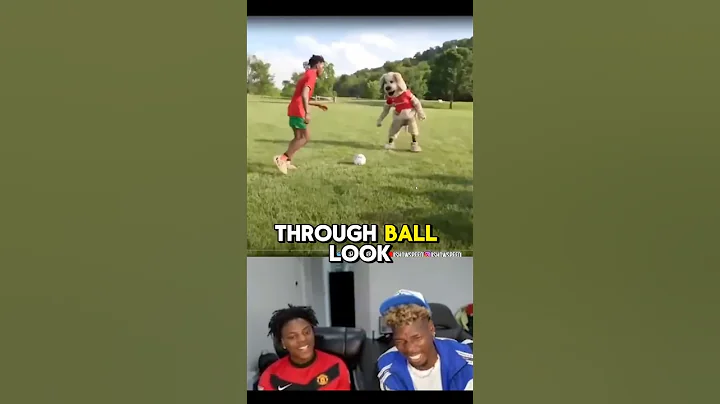 Pual Pogba Reacts to Speed's Football Highlights #ishowspeed #ronaldo #speed #paulpogba #pogba