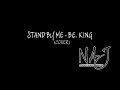 Naj trio  stand by me be king live cover