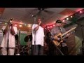 Chicago Blues All-Stars - "The Blues Is Alright"