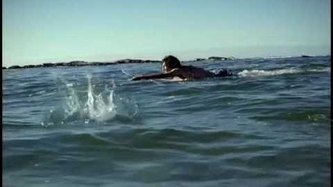 LightWave render - VW fishdog