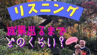 【リスニング】英語リスニングの勉強を始めてどれぐらいで成果が出るのかという質問に答えました！#英語勉強法 #リスニング #大学受験 #英語