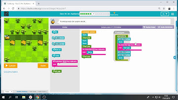 Code.org Kurs:3 Ders14 Arı: Ayıklama