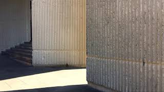 Leon Lendo - 12 Segundos De Distracción Improdiario